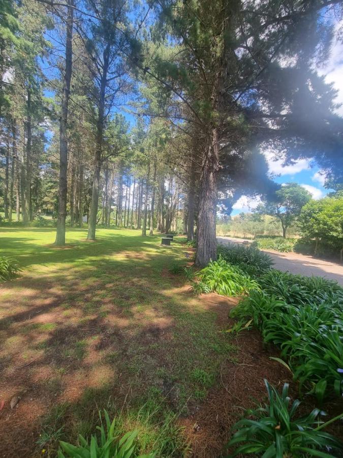 Savana Estate Poukawa 外观 照片