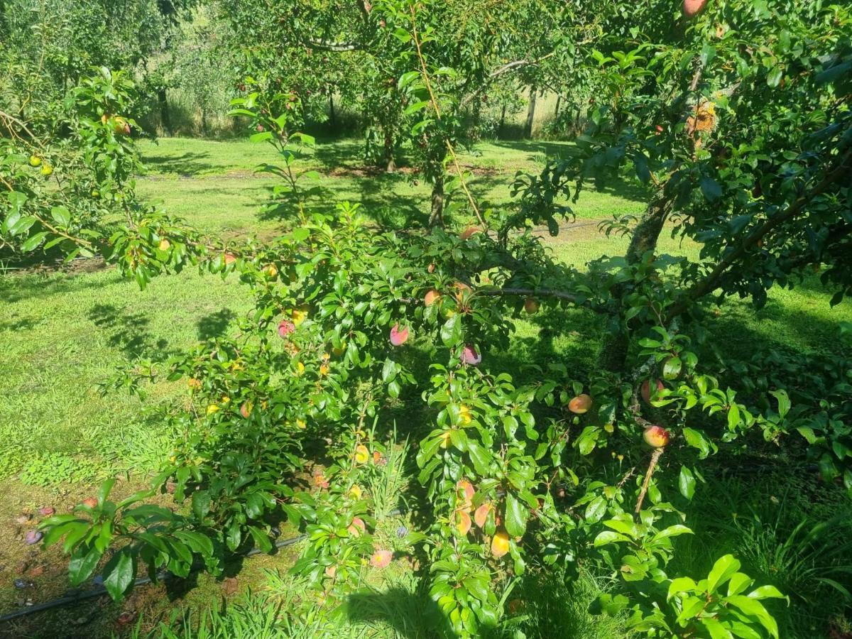 Savana Estate Poukawa 外观 照片